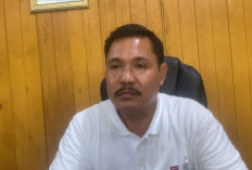 Atasi Kekeringan Sawah Ketaping, Dinas Pertanian Ajukan 3 Unit Irigasi Pompa ke Kementan