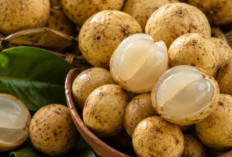Jarang Diketahui, Cek Manfaat Duku untuk Kesehatan Ibu Hamil, Bisa Memenuhi Kebutuhan Vitamin C
