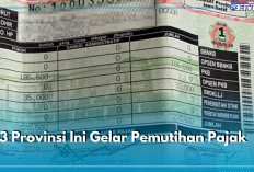3 Provinsi Ini Gelar Pemutihan Pajak, Cek Potongan Diskonnya di Sini