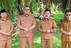 9 Hektare Aset Pemkab Bengkulu Selatan di Kayu Kunyit Diproyeksikan Jadi Kawasan Pertanian