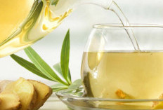 Bantu Perut Lebih Nyaman, Minuman Sehat yang Baik untuk Pencernaan