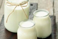 Pencernaan Makin Lancar, Ini Daftar Makanan yang Penting Dikonsumsi Sehari-hari