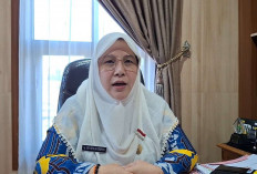 Realisasi Bantuan Benih 2026 Tinggi, Pemprov Bengkulu Buka Usulan Tambahan untuk Petani