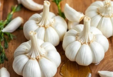 Tak Hanya untuk Bumbu Masakan, Ini 7 Manfaat Bawang Putih bagi Kesehatan Tubuh