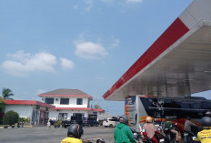 Pertamina Ungkap Penyebab Antrean Biosolar di Bengkulu: Ada Peralihan dari BBM Nonsubsidi
