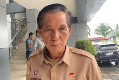 Harga TBS Kelapa Sawit Jelang Akhir Tahun Rp3.100 Perkilogram