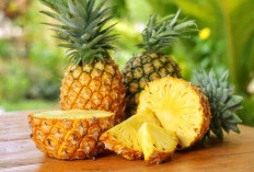 Bantu Samarkan Flek Hitam hingga Atasi Jerawat, Ini Manfaat Nanas untuk Kecantikan 