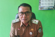 Jelang Iduladha 1447 H, 4.936 Hewan Kurban di Seluma Dipastikan Sehat dan Layak Konsumsi