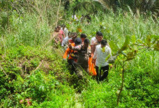 Mayat Pria Ditemukan Terlungkup di Pantai Kualo Kota Bengkulu, Jenazah Dibawa ke RS Bhayangkara