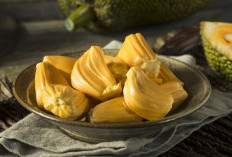 Suka Makan Buah Nangka? Cek Manfaatnya Disini Ya!