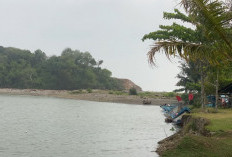 Tingkatkan Kesejahteraan Nelayan, Pemkab Bengkulu Selatan Usulkan 10 Perahu Fiber Lengkap Mesin ke KKP