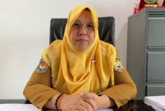 Bengkulu Terima 19.500 Dosis Vaksin PMK di 2026, Alokasi Meningkat dari Tahun Lalu