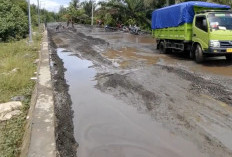 Pemprov Bengkulu Bongkar Tanggung Jawab Pelindo atas Jalan Rusak Teluk Sepang