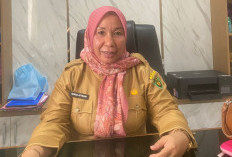 Hidupkan Kembali BBI, Pemkab Bengkulu Selatan Siapkan 1.600 Indukan Nila Unggul