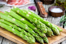 Cek Disini Segudang Manfaat Asparagus untuk Kesehatan Tubuh, Nomor 1 Dipercaya Ampuh Atasi Kanker