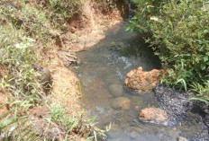 Manfaatkan Hujan, PT SSL Diduga Kucing-kucingan Buang Limbah ke Sungai