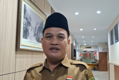 Baru 41,39 Persen, Realisasi Retribusi dan Pendapatan Lainnya di Bengkulu Capai Rp102,65 Miliar