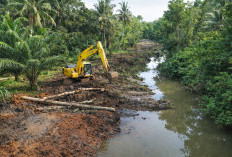 Atasi Banjir, Sungai Lempuing hingga Padang Serai Bengkulu Mulai Dikeruk