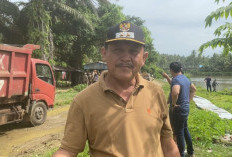 Bukan Cuma Bongkar, Pemkab Bengkulu Selatan Siapkan Usaha Baru buat Pemilik Warem