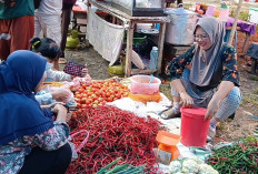 Cuaca Ekstrem, Stok Cabai Merah Menipis, Harga Kian Pedas Rp80 Ribu per Kg