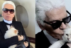 Wasiat Karl Lagerfeld Dipersoalkan, Kucing Kesayangan Ikut Kebagian Rumah dan Dana Fantastis