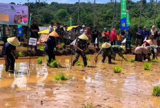 Terkendala Masalah Irigasi, Realisasi Cetak Sawah 2025 di Bengkulu Baru Capai 86 Hektare