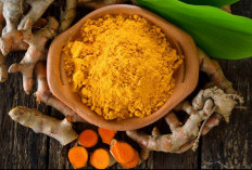 Ini 7 Rekomendasi Obat Herbal yang Ampuh Atasi Pengapuran Sendi, Salah Satunya Temulawak 