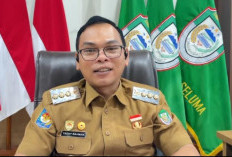 Bupati Seluma Kantongi Data 3 Kepala OPD Aktif Main Judol, Total Transaksi Tembus Rp832 Juta