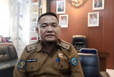 Tetap Berjalan, Pemkot Bengkulu Tunggu Juknis Pusat Terkait Penyaluran MBG Selama Ramadan