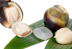 Menyimpan Banyak Air, Berikut Ini Sederet Efek Samping Konsumsi Buah Lontar Secata Berlebihan 