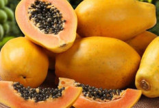 Ini Makanan yang Baik untuk Pencernaan, Bantu Jaga Kesehatan Usus