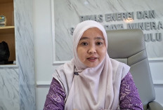 Tak Ada Prioritas Wilayah, 4.500 Data Calon Penerima Program Listrik Gratis Siap Diusulkan ke Kementerian