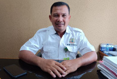 BKSDA Sebut Lahan Cemara yang Jadi Sawit di Teluk Sepang Masuk HPL Pelindo