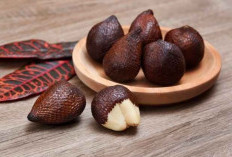 Menyimpan Beragam Nutrisi, Inilah Manfaat Konsumsi Buah Salak untuk Kesehatan Anda