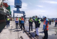 Potret Ketenagakerjaan Bengkulu 2026: Angka Pengangguran Melandai, Sektor Informal Kian Mendominasi
