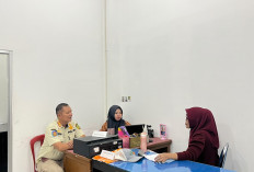 Penuhi Panggilan Satpol PP, Oknum Penebang Pohon di Pantai Panjang Dijatuhi Sanksi Tanam 25 Bibit Cemara
